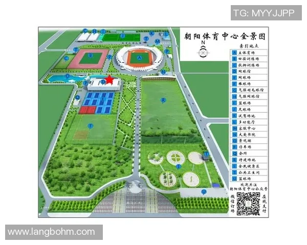 北京羽毛球队转型之路：从传统强队到现代化竞技新标杆解析